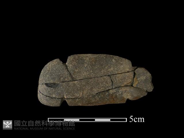網墜藏品圖，第2張
