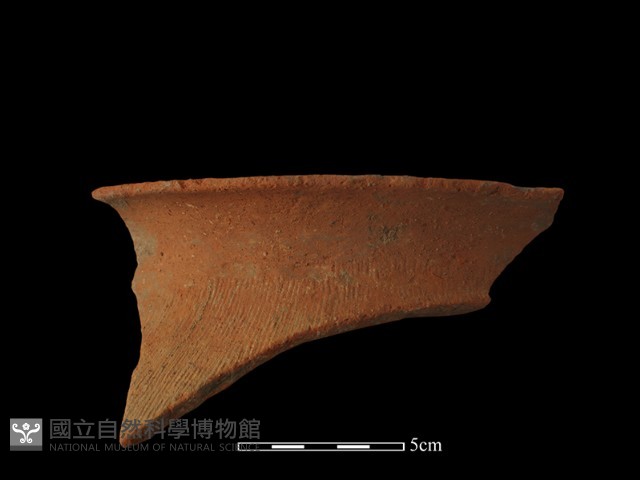 陶罐藏品圖，第2張
