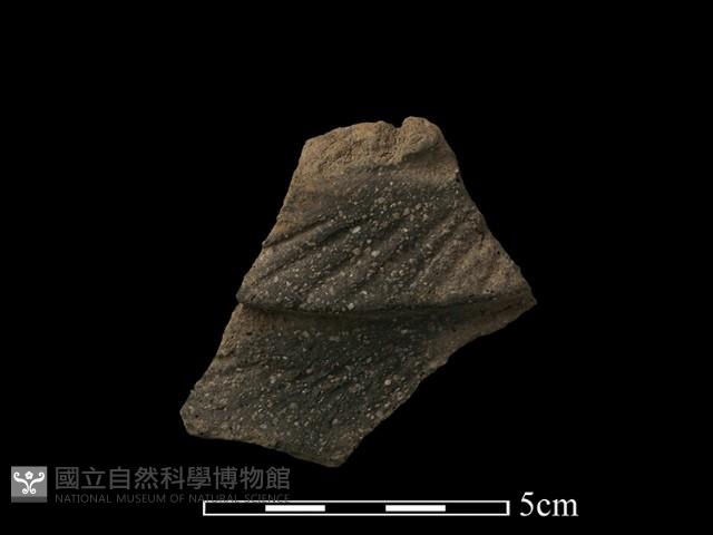 陶片藏品圖，第1張