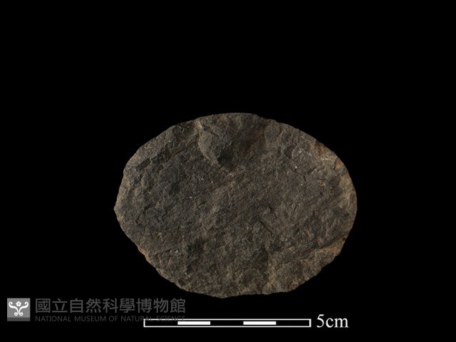 石片器藏品圖，第1張