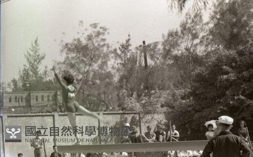 1950至2006年臺灣常民生活藏品圖，第1張