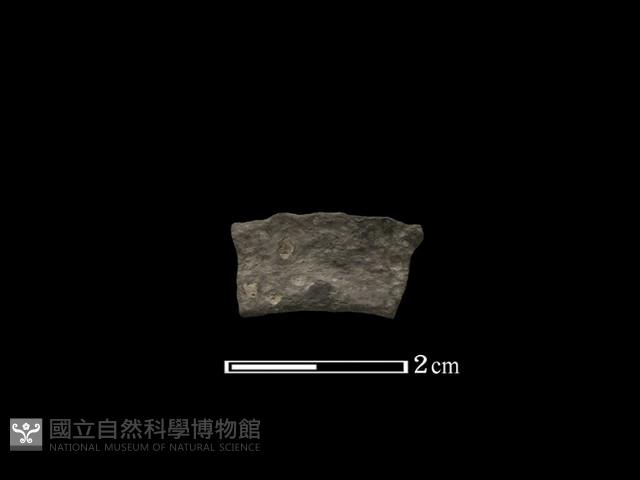 陶環藏品圖，第1張