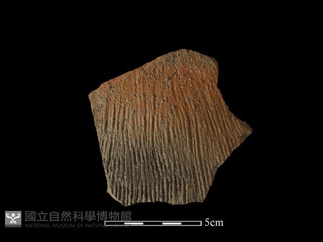 陶罐藏品圖，第1張