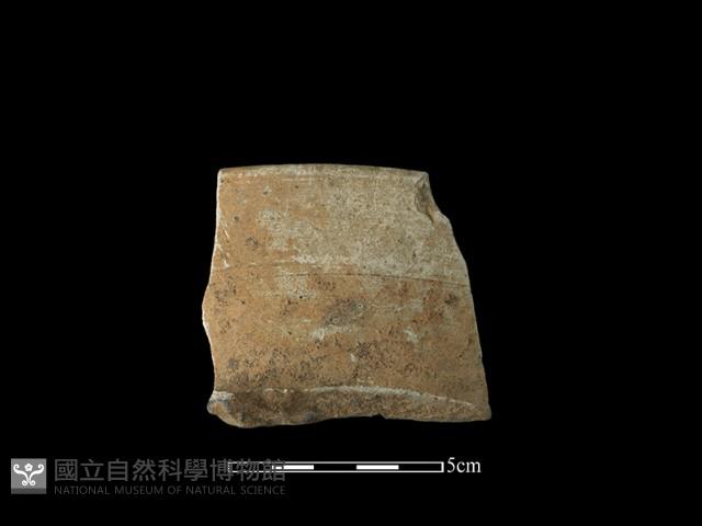 陶片藏品圖，第1張