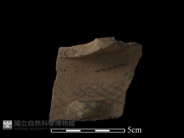 Accession Number:NP-2008-0409 Collection Image, Figure 1, Total 2 Figures