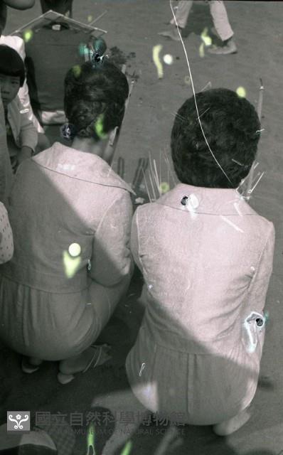 1950至2006年臺灣常民生活藏品圖，第1張