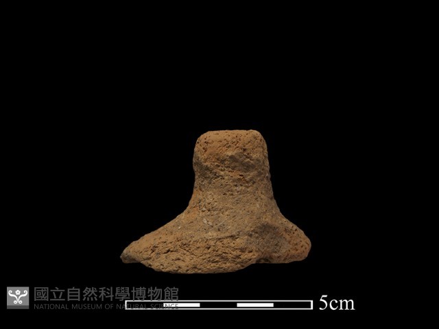 陶蓋鈕藏品圖，第1張