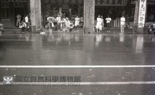 1950至2006年臺灣常民生活藏品圖，第1張