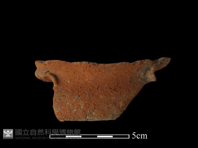 陶罐藏品圖，第1張