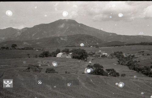 1950至2006年臺灣常民生活藏品圖，第1張