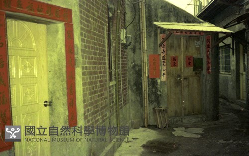 1950至2006年臺灣常民生活藏品圖，第1張