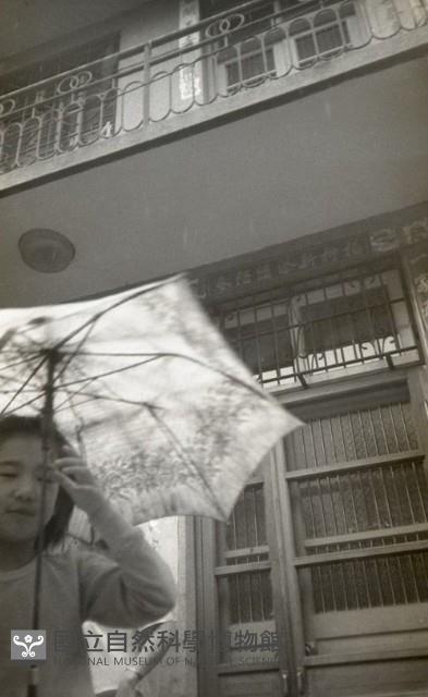 1950至2006年臺灣常民生活藏品圖，第1張