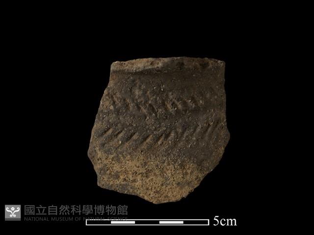 陶罐藏品圖，第1張