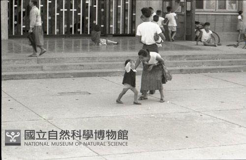 1950至2006年臺灣常民生活藏品圖，第1張