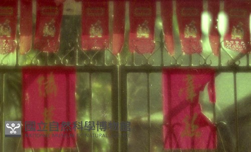 1950至2006年臺灣常民生活藏品圖，第1張