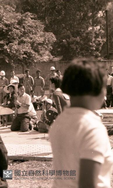 Accession Number:MP2007008889 Collection Image