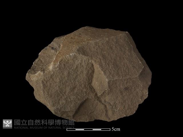 Accession Number:NP-2008-0389 Collection Image, Figure 1, Total 2 Figures