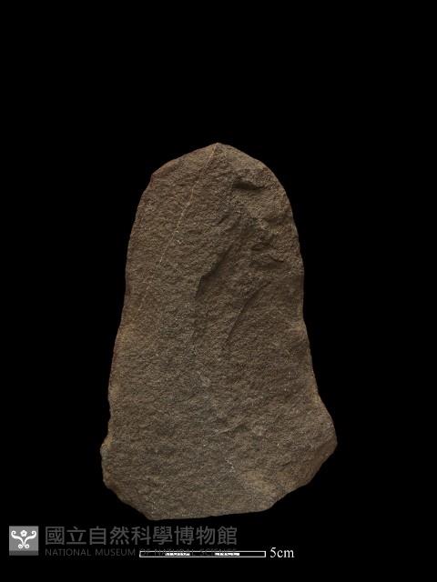 斧鋤形器藏品圖，第2張