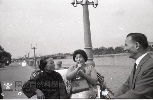 1950至2006年臺灣常民生活藏品圖，第1張