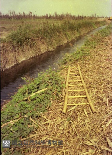 1950至2006年臺灣常民生活藏品圖，第1張