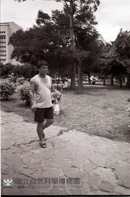 1950至2006年臺灣常民生活藏品圖，第1張