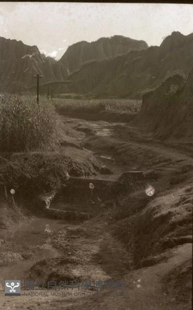 1950至2006年臺灣常民生活藏品圖，第1張