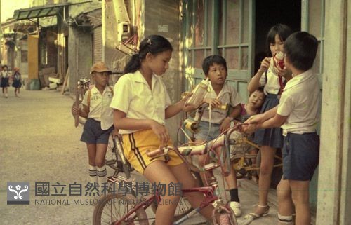 1950至2006年臺灣常民生活藏品圖，第1張