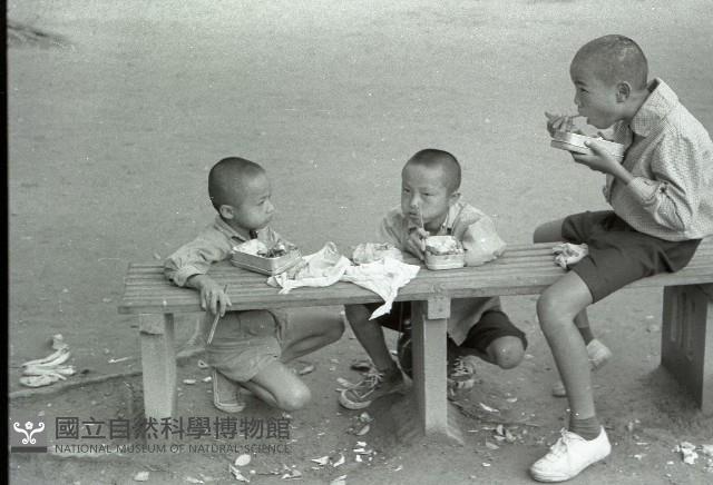 1950至2006年臺灣常民生活藏品圖，第1張