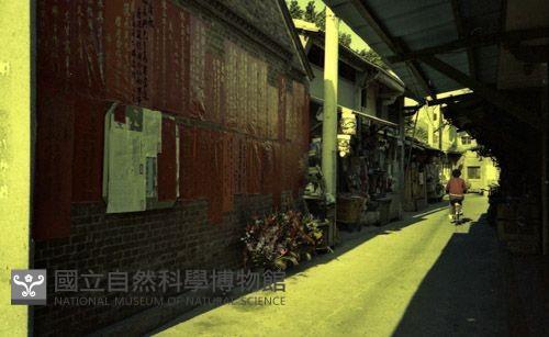 1950至2006年臺灣常民生活藏品圖，第1張