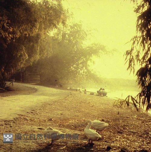 1950至2006年臺灣常民生活藏品圖，第1張