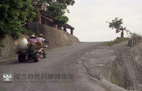 1950至2006年臺灣常民生活藏品圖，第1張