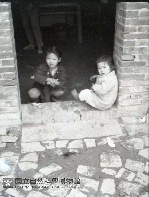 1950至2006年臺灣常民生活藏品圖，第1張