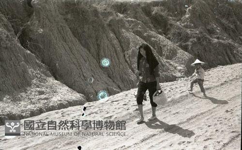 1950至2006年臺灣常民生活藏品圖，第1張