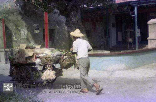 1950至2006年臺灣常民生活藏品圖，第1張