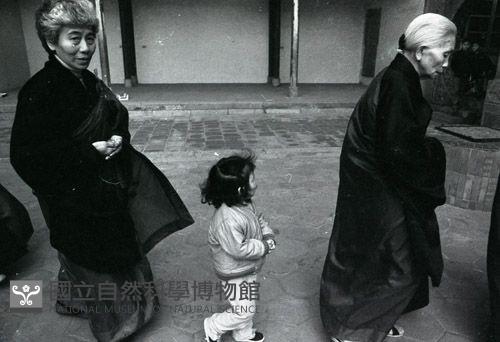 1950至2006年臺灣常民生活藏品圖，第1張