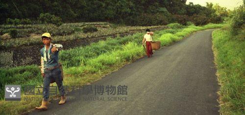1950至2006年臺灣常民生活藏品圖，第1張