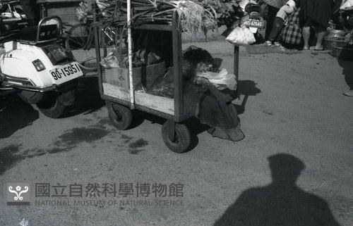 1950至2006年臺灣常民生活藏品圖，第1張