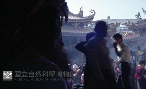 1950至2006年臺灣常民生活藏品圖，第1張