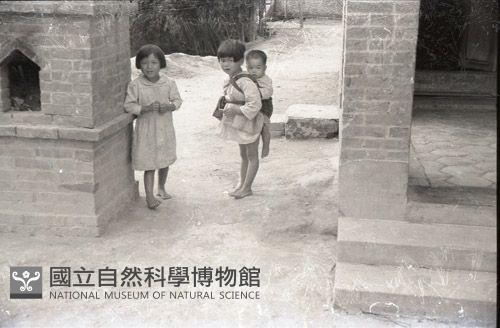 1950至2006年臺灣常民生活藏品圖，第1張