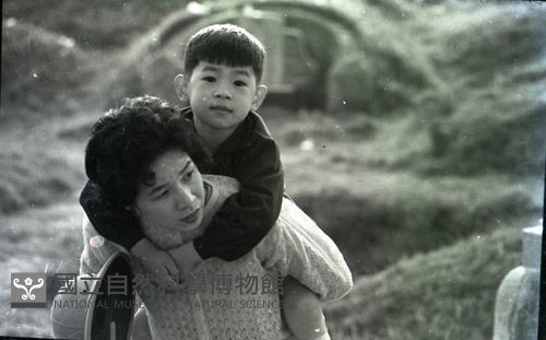 1950至2006年臺灣常民生活藏品圖，第1張
