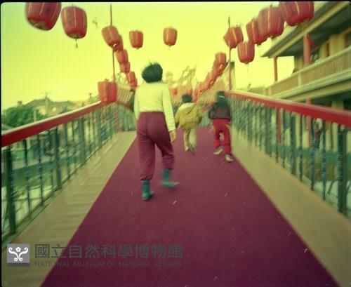 1950至2006年臺灣常民生活藏品圖，第1張