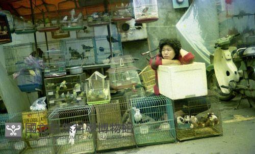1950至2006年臺灣常民生活藏品圖，第1張