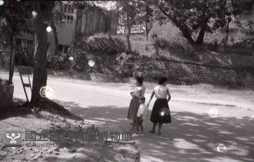 1950至2006年台灣常民生活藏品圖，第1張