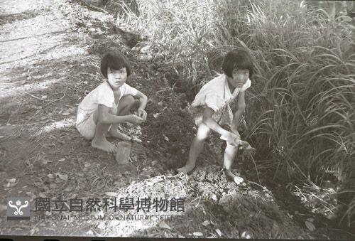 1950至2006年臺灣常民生活藏品圖，第1張