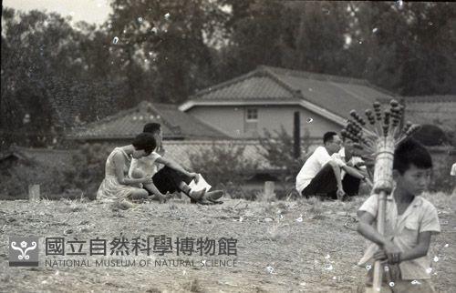 1950至2006年臺灣常民生活藏品圖，第1張