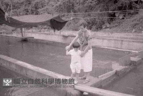 1950至2006年臺灣常民生活藏品圖，第1張