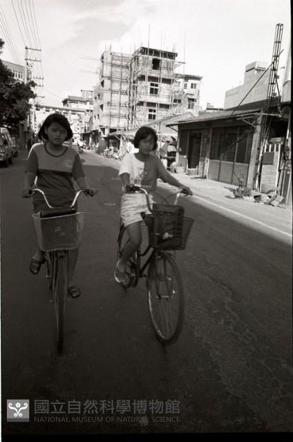 1950至2006年臺灣常民生活藏品圖，第1張