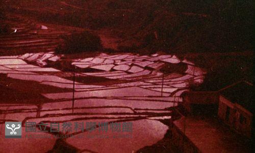 1950至2006年臺灣常民生活藏品圖，第1張