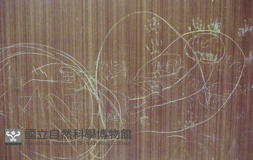 1950至2006年臺灣常民生活藏品圖，第1張