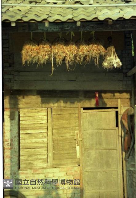 1950至2006年臺灣常民生活藏品圖，第1張
